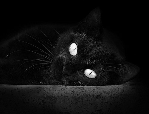 开云体育网址-亚冠联赛中国青年队战平 球员配合存在问题，青年队打亚冠