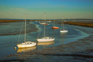 开云体育平台-兴隆湖上演“国际艇战”，多国精英争锋