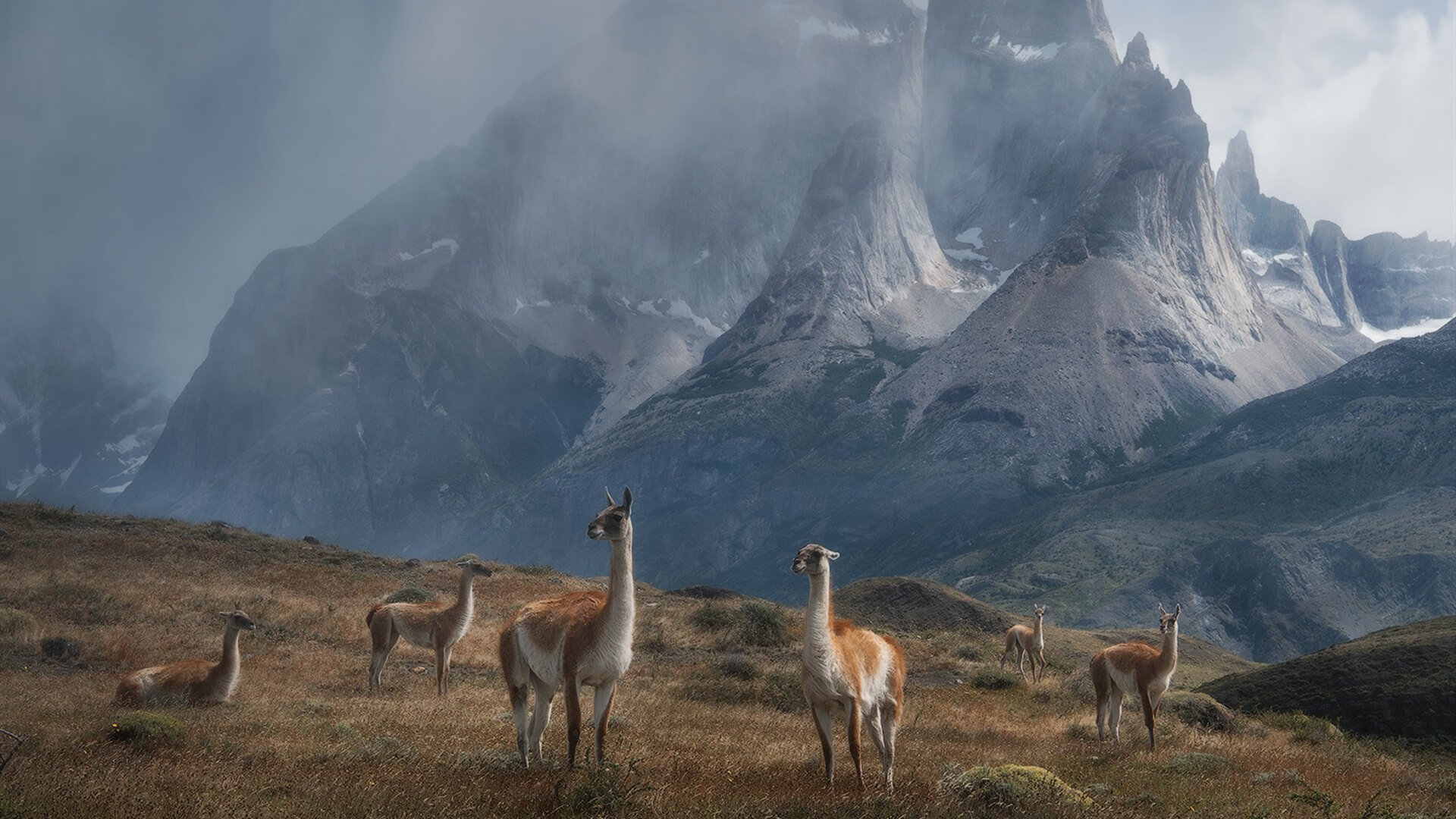 开云体育娱乐-外线防守能力最强的小前锋排名，外线防守能力最强的小前锋排名榜