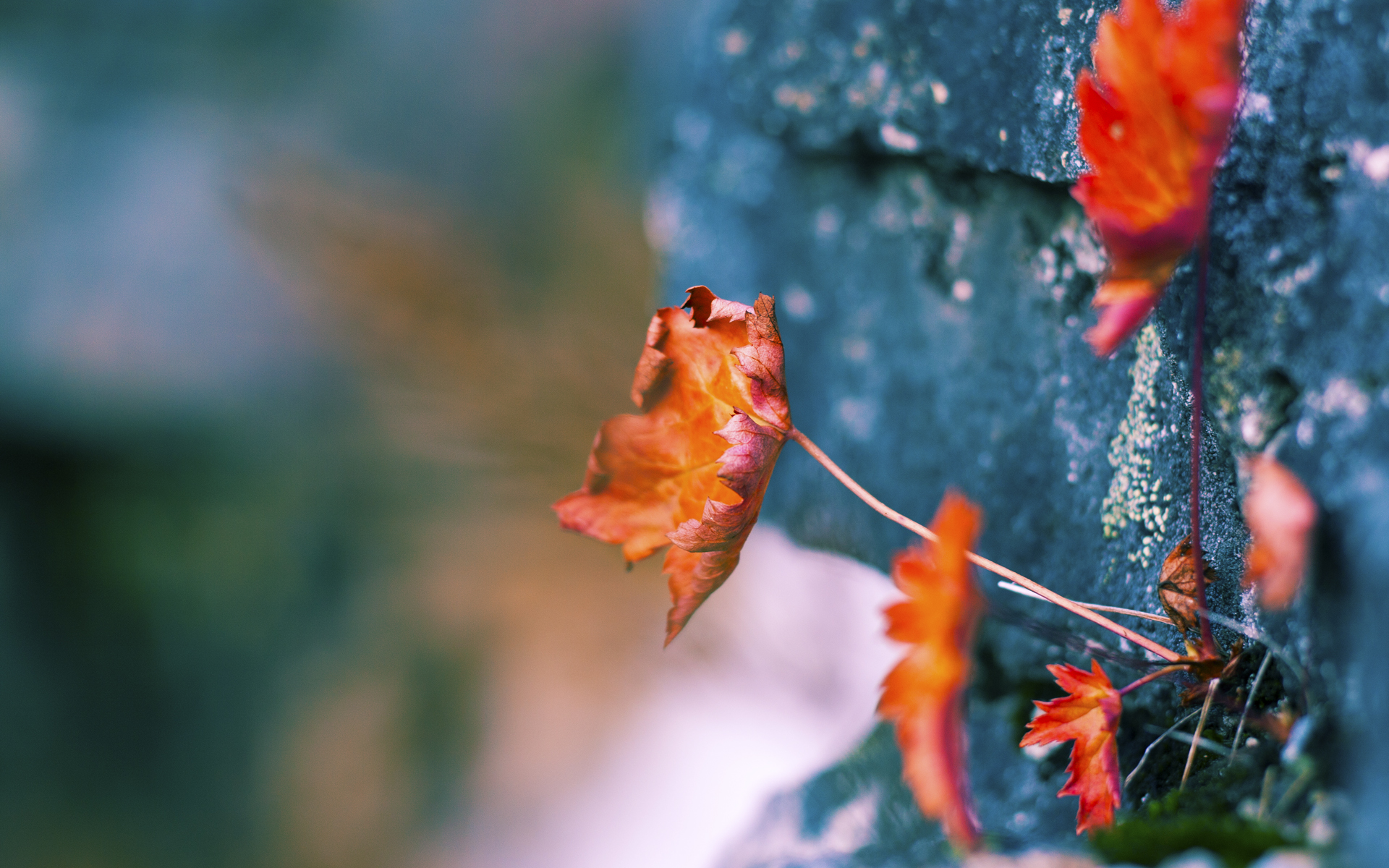 新疆男篮积极备战强敌提升防守韧性，新疆男篮最新