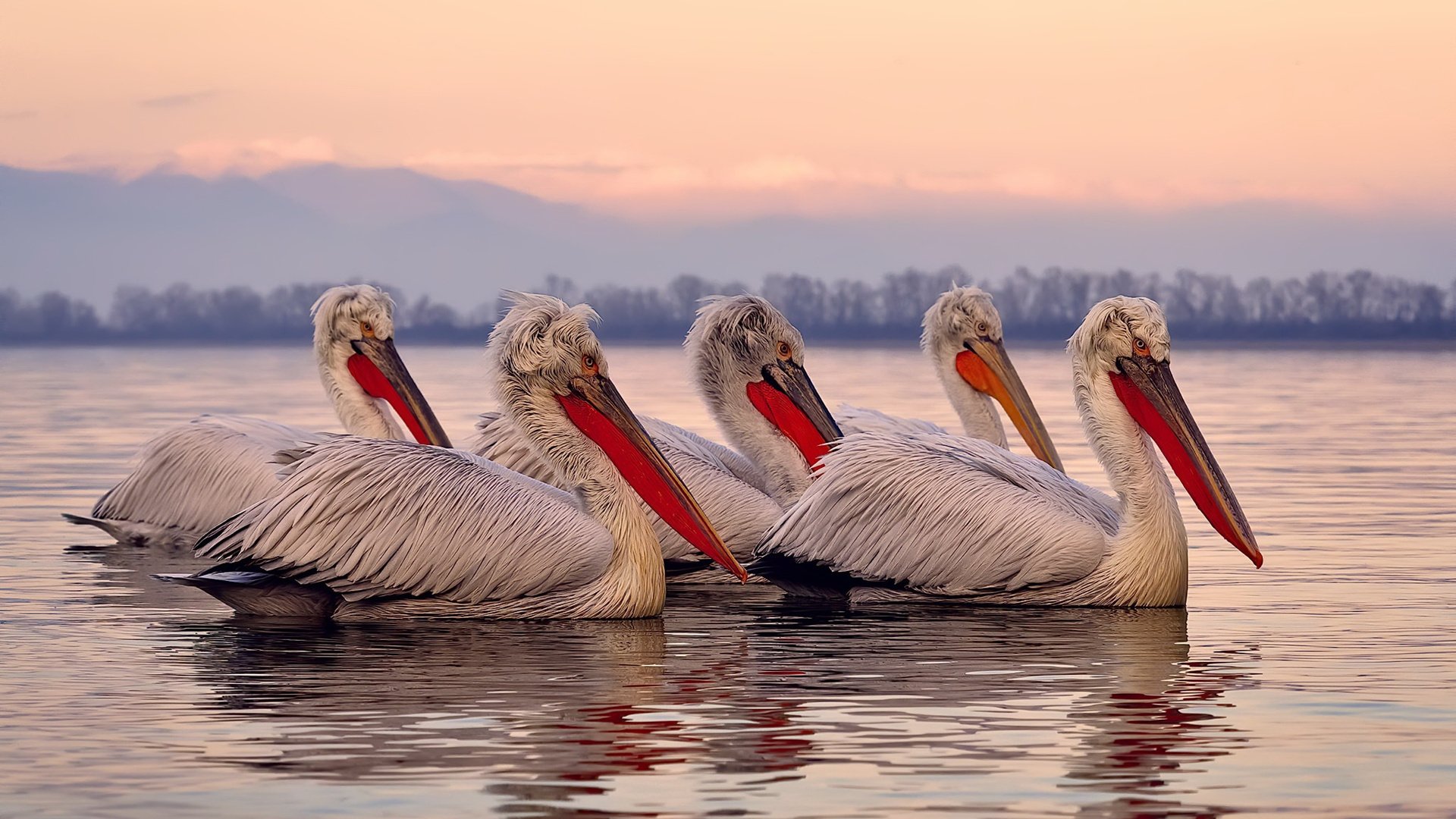 深圳领航队积极备战硬仗保持全员健康状态，深圳领航者队