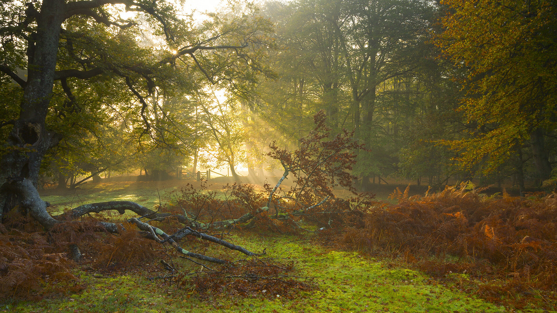 中国足球职业联赛裁判员职业培训持续推进,中国足球协会裁判员信息化平台