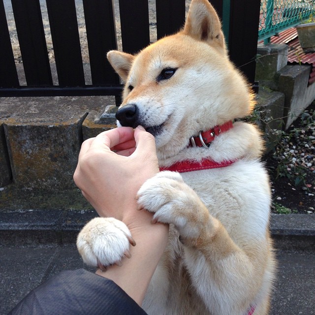 开云官网-乌拉圭女篮在南美锦标赛中表现优异，体育舞台再攀新高峰，乌拉圭美女球迷