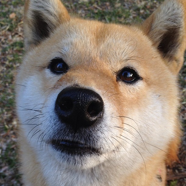 勇士教练强调防守是争冠最大关键,勇士的防守体系是什么