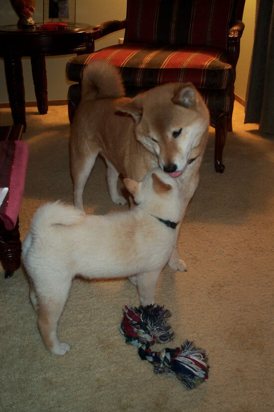 德克斯完美入水彰显顶尖水准,德克斯工具怎么样