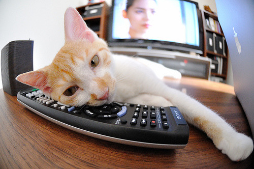 开云体育app-皇马青训持续发力，新星不断崭露头角