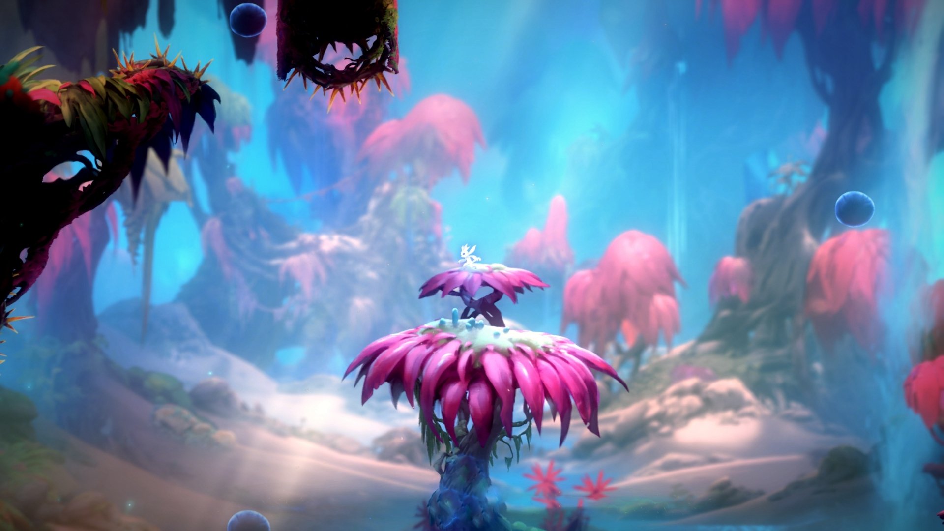 开云在线登入-科斯赛后感谢团队支持与鼓励，感谢团队比赛胜利的话