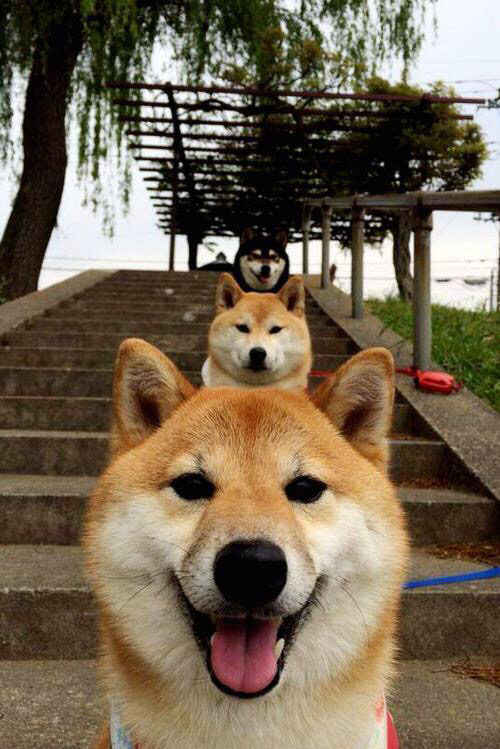 开云体育在线登入-英超冲刺高潮：精彩不停，悬念不断！，英超read